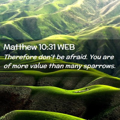 Picture 02 - Matthew 10:31 WEB - Therefore don't be afraid. You are of more value - Bible Verse Picture