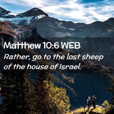 Picture 02 - Matthew 10:6 WEB - Rather, go to the lost sheep of the house of - Bible Verse Picture