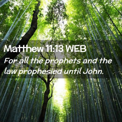 Picture 02 - Matthew 11:13 WEB - For all the prophets and the law prophesied until - Bible Verse Picture