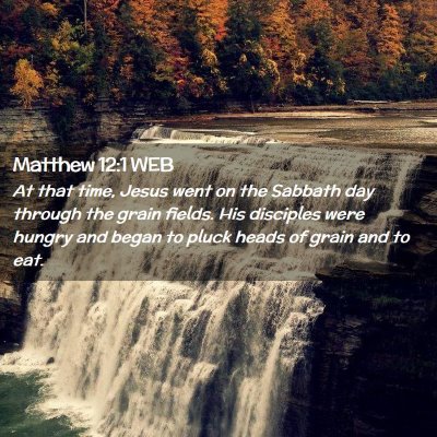 Picture 02 - Matthew 12:1 WEB - At that time, Jesus went on the Sabbath day - Bible Verse Picture