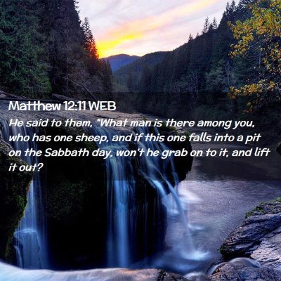 Picture 02 - Matthew 12:11 WEB - He said to them, 
