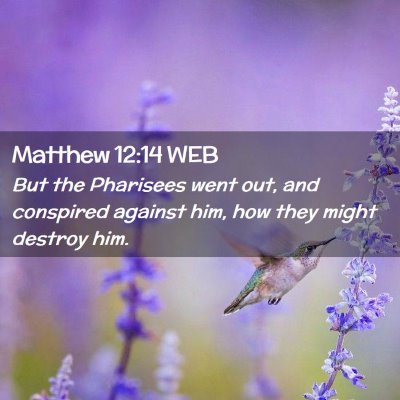 Picture 02 - Matthew 12:14 WEB - But the Pharisees went out, and conspired against - Bible Verse Picture