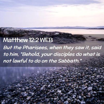 Picture 02 - Matthew 12:2 WEB - But the Pharisees, when they saw it, said to him, - Bible Verse Picture