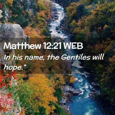 Picture 02 - Matthew 12:21 WEB - In his name, the Gentiles will - Bible Verse Picture