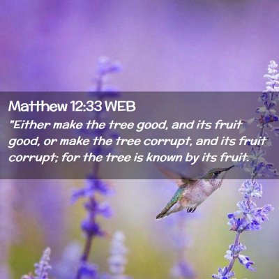 Picture 02 - Matthew 12:33 WEB - 