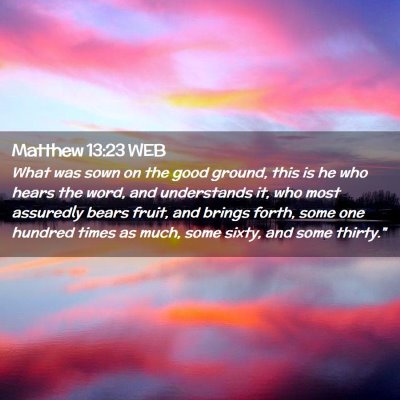 Picture 02 - Matthew 13:23 WEB - What was sown on the good ground, this is he who - Bible Verse Picture