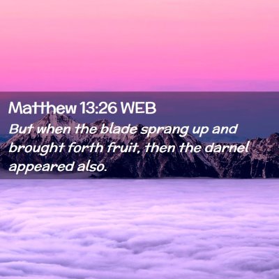 Picture 02 - Matthew 13:26 WEB - But when the blade sprang up and brought forth - Bible Verse Picture