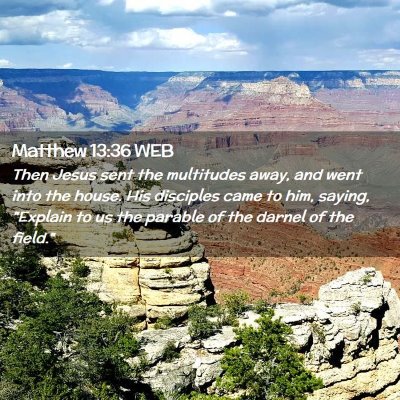Picture 02 - Matthew 13:36 WEB - Then Jesus sent the multitudes away, and went - Bible Verse Picture