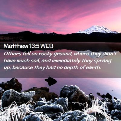 Picture 02 - Matthew 13:5 WEB - Others fell on rocky ground, where they didn't - Bible Verse Picture