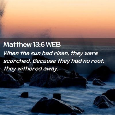 Picture 02 - Matthew 13:6 WEB - When the sun had risen, they were scorched. - Bible Verse Picture