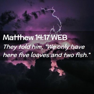 Picture 02 - Matthew 14:17 WEB - They told him, 