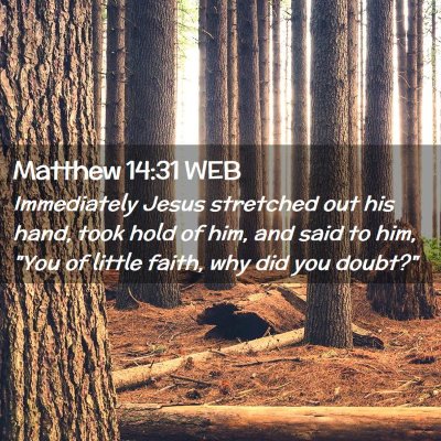 Picture 02 - Matthew 14:31 WEB - Immediately Jesus stretched out his hand, took - Bible Verse Picture