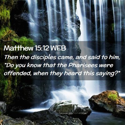 Picture 02 - Matthew 15:12 WEB - Then the disciples came, and said to him, 