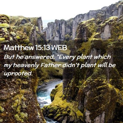 Picture 02 - Matthew 15:13 WEB - But he answered, 