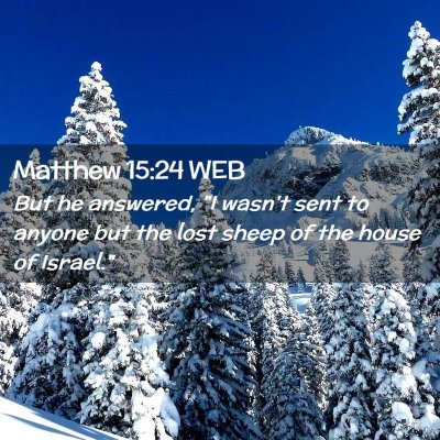 Picture 02 - Matthew 15:24 WEB - But he answered, 