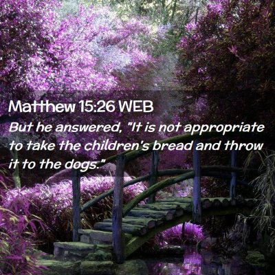 Picture 02 - Matthew 15:26 WEB - But he answered, 