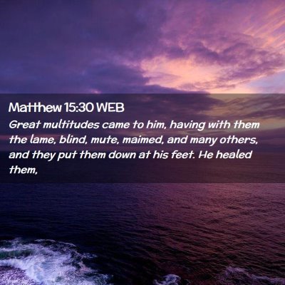 Picture 02 - Matthew 15:30 WEB - Great multitudes came to him, having with them - Bible Verse Picture