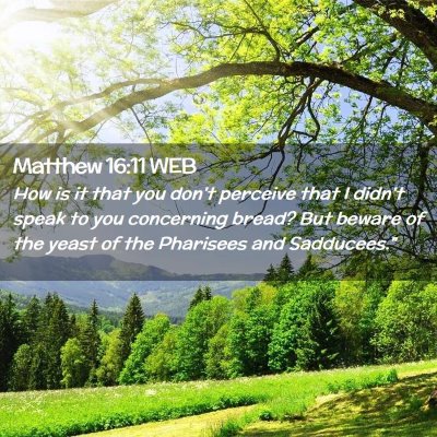 Picture 02 - Matthew 16:11 WEB - How is it that you don't perceive that I didn't - Bible Verse Picture
