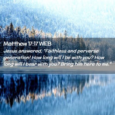 Picture 02 - Matthew 17:17 WEB - Jesus answered, 