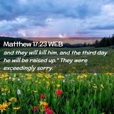 Picture 02 - Matthew 17:23 WEB - and they will kill him, and the third day he will - Bible Verse Picture