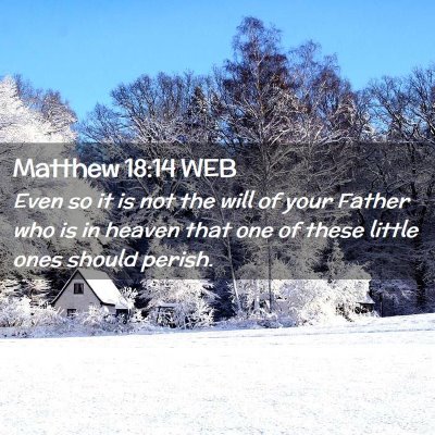 Picture 02 - Matthew 18:14 WEB - Even so it is not the will of your Father who is - Bible Verse Picture