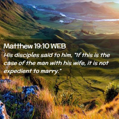 Picture 02 - Matthew 19:10 WEB - His disciples said to him, 