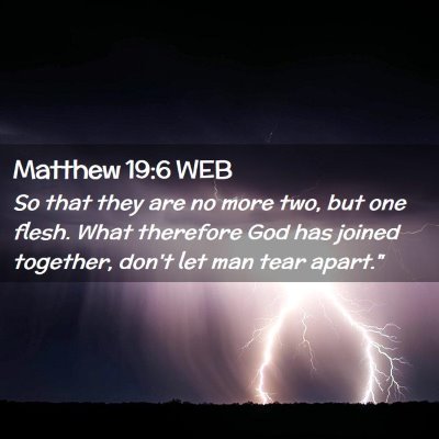 Picture 02 - Matthew 19:6 WEB - So that they are no more two, but one flesh. What - Bible Verse Picture