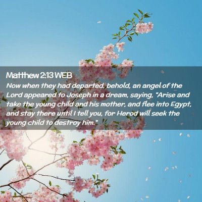 Picture 02 - Matthew 2:13 WEB - Now when they had departed, behold, an angel of - Bible Verse Picture
