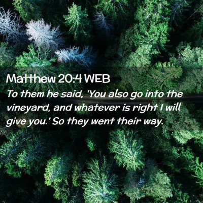Picture 02 - Matthew 20:4 WEB - To them he said, 'You also go into the vineyard, - Bible Verse Picture