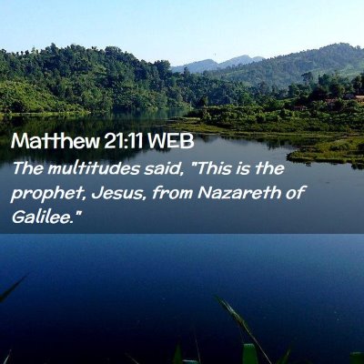 Picture 02 - Matthew 21:11 WEB - The multitudes said, 