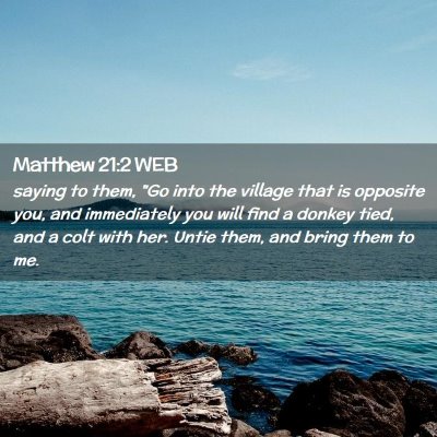 Picture 02 - Matthew 21:2 WEB - saying to them, 