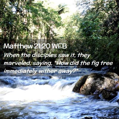 Picture 02 - Matthew 21:20 WEB - When the disciples saw it, they marveled, saying, - Bible Verse Picture