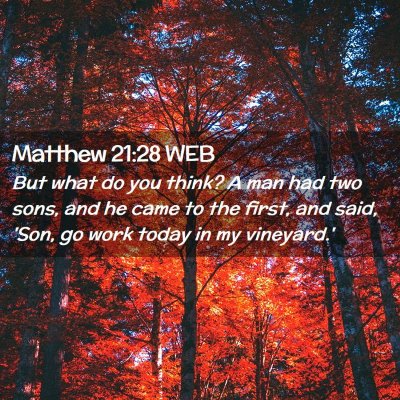 Picture 02 - Matthew 21:28 WEB - But what do you think? A man had two sons, and he - Bible Verse Picture