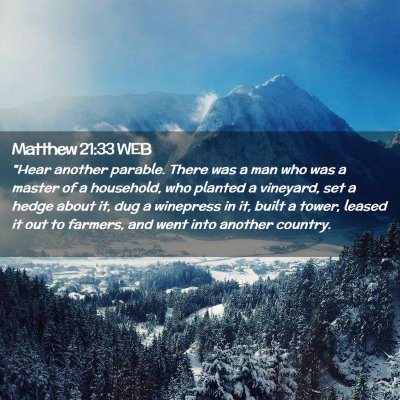 Picture 02 - Matthew 21:33 WEB - 