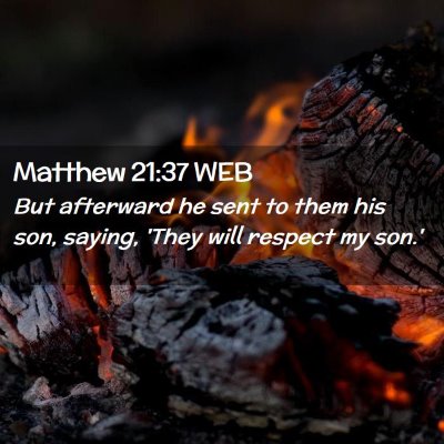 Picture 02 - Matthew 21:37 WEB - But afterward he sent to them his son, saying, - Bible Verse Picture