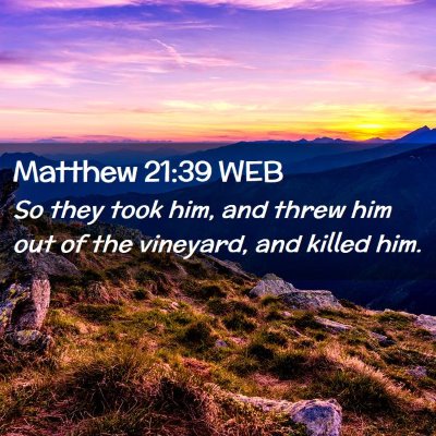 Picture 02 - Matthew 21:39 WEB - So they took him, and threw him out of the - Bible Verse Picture