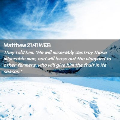Picture 02 - Matthew 21:41 WEB - They told him, 