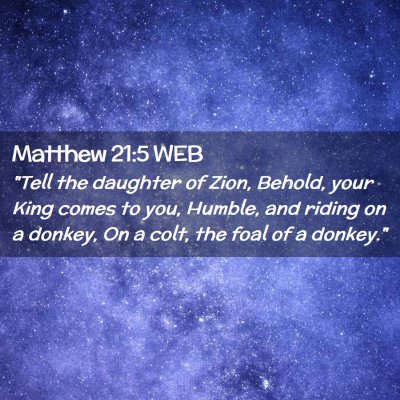 Picture 02 - Matthew 21:5 WEB - 