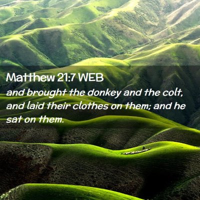 Picture 02 - Matthew 21:7 WEB - and brought the donkey and the colt, and laid - Bible Verse Picture