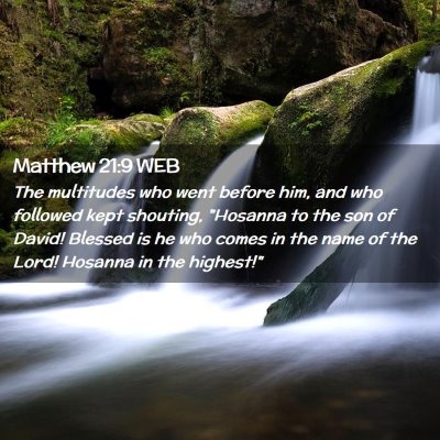 Picture 02 - Matthew 21:9 WEB - The multitudes who went before him, and who - Bible Verse Picture