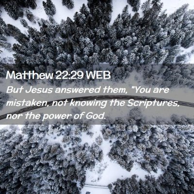 Picture 02 - Matthew 22:29 WEB - But Jesus answered them, 
