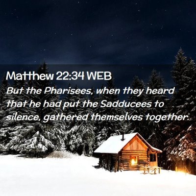 Picture 02 - Matthew 22:34 WEB - But the Pharisees, when they heard that he had - Bible Verse Picture