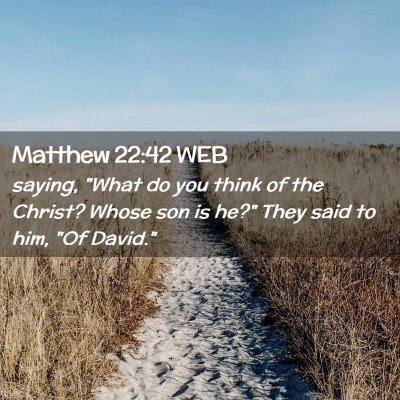 Picture 02 - Matthew 22:42 WEB - saying, 