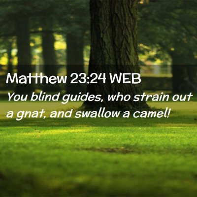 Picture 02 - Matthew 23:24 WEB - You blind guides, who strain out a gnat, and - Bible Verse Picture
