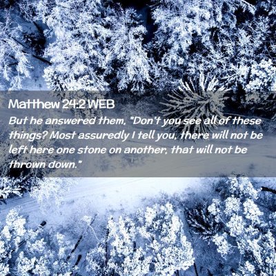 Picture 02 - Matthew 24:2 WEB - But he answered them, 