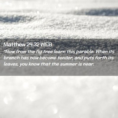 Picture 02 - Matthew 24:32 WEB - 