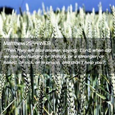 Picture 02 - Matthew 25:44 WEB - 