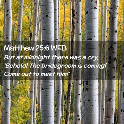 Picture 02 - Matthew 25:6 WEB - But at midnight there was a cry, 'Behold! The - Bible Verse Picture