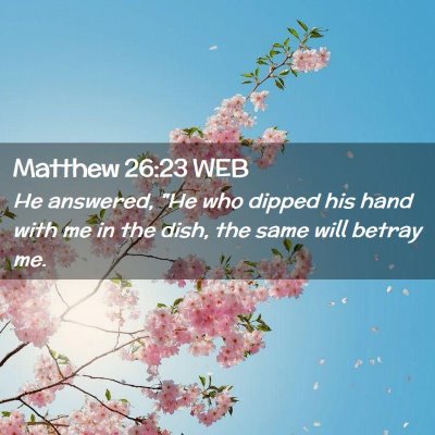 Picture 02 - Matthew 26:23 WEB - He answered, 