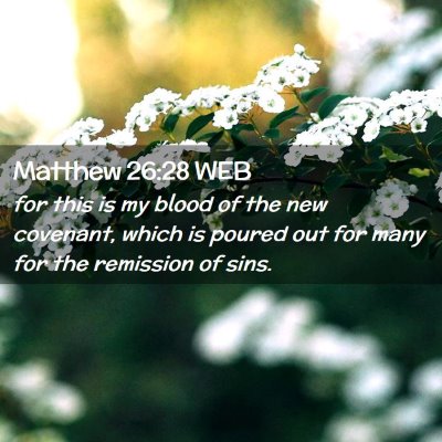 Picture 02 - Matthew 26:28 WEB - for this is my blood of the new covenant, which - Bible Verse Picture